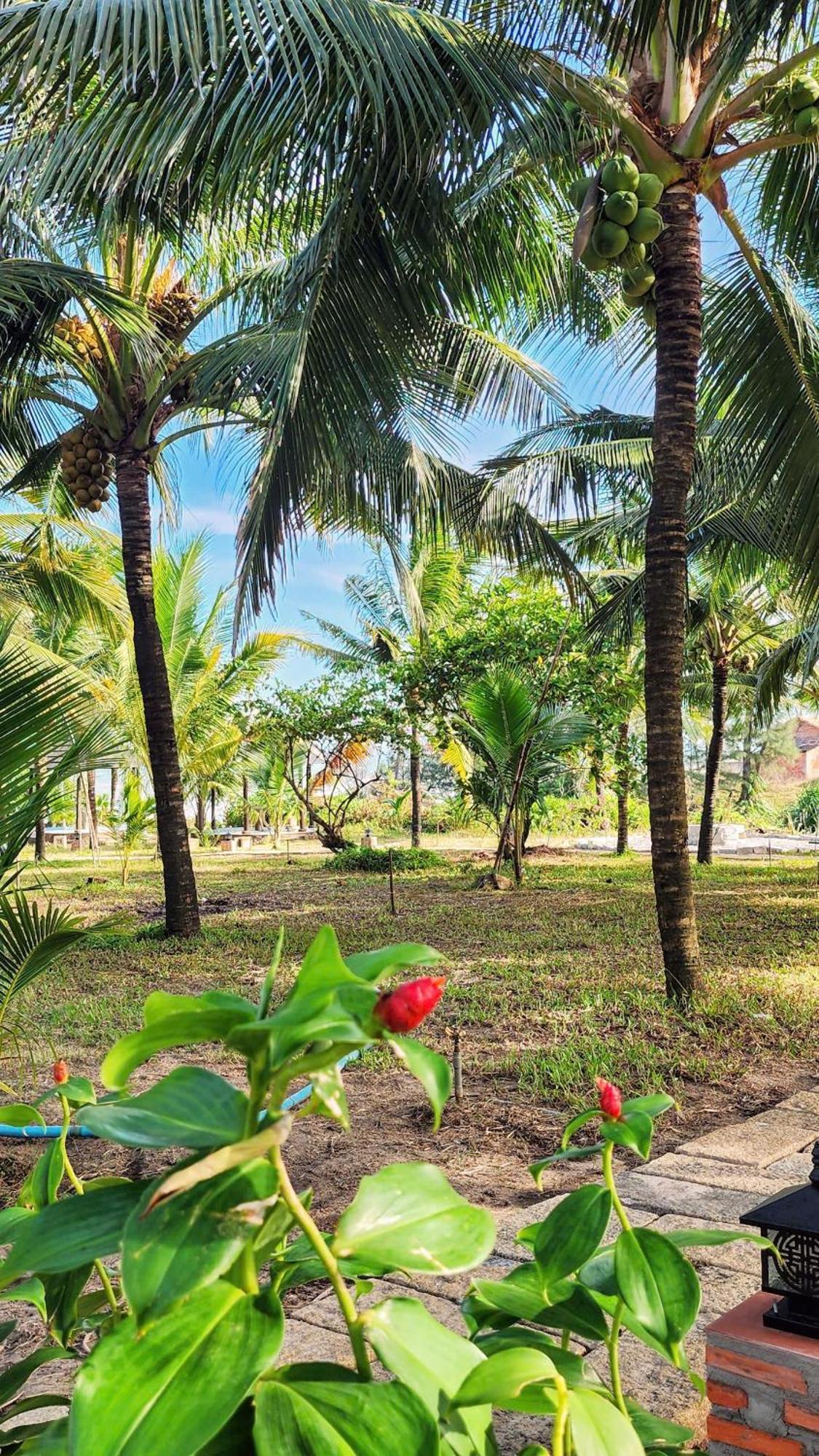 Zen Resort - Villa Beach- Garden Xom Tram Bagian luar foto